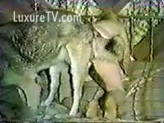 A woman and her beloved dog had sex.